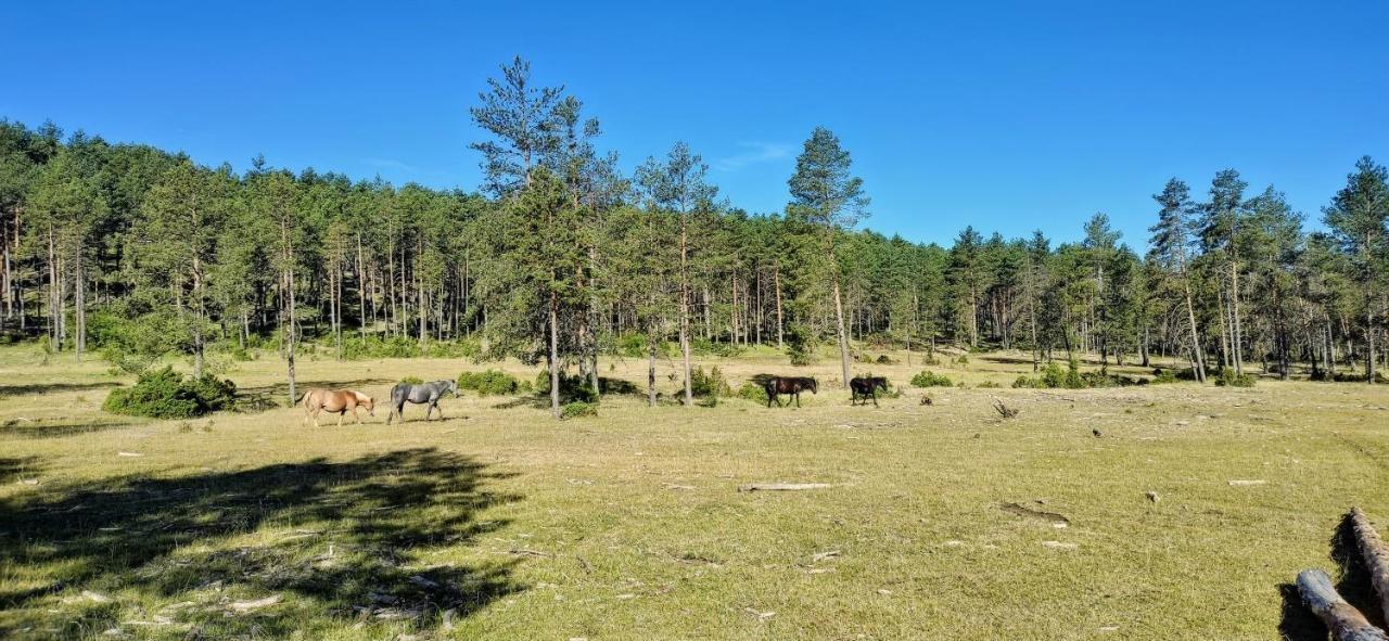 Alojamiento Rural Los Hacheros Tragacete Zewnętrze zdjęcie