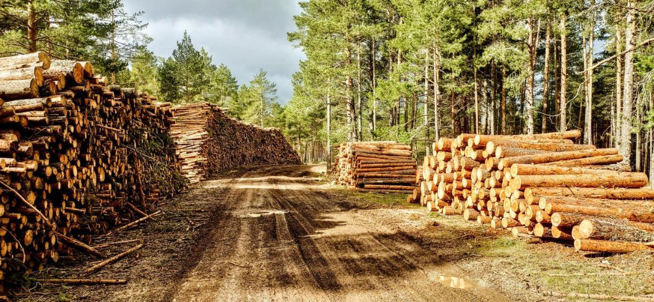 Alojamiento Rural Los Hacheros Tragacete Zewnętrze zdjęcie