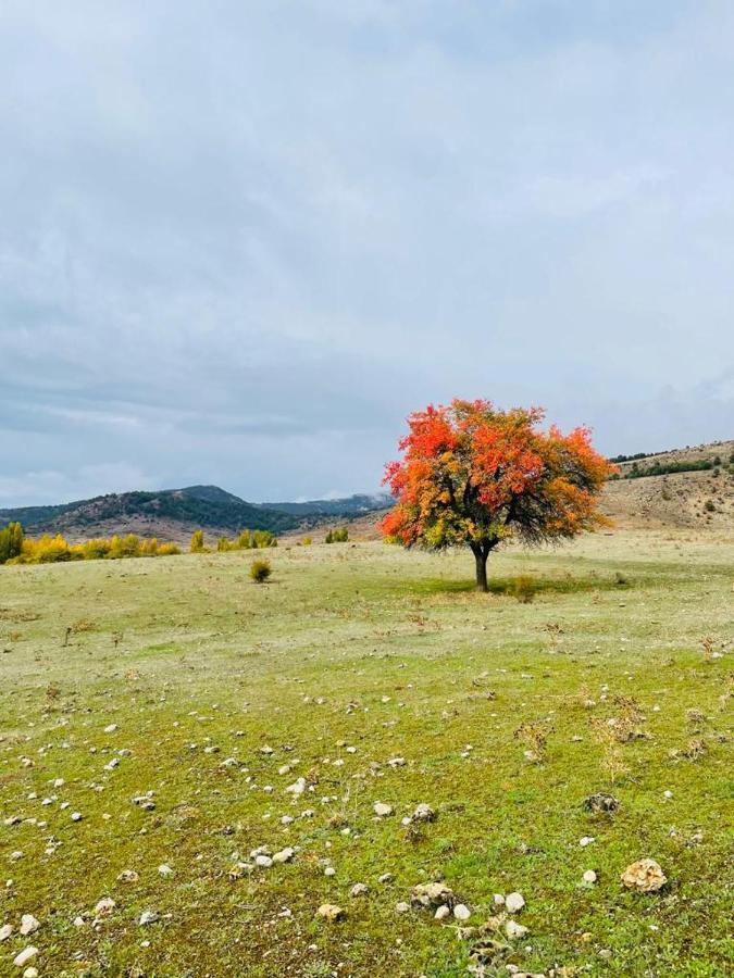 Alojamiento Rural Los Hacheros Tragacete Zewnętrze zdjęcie