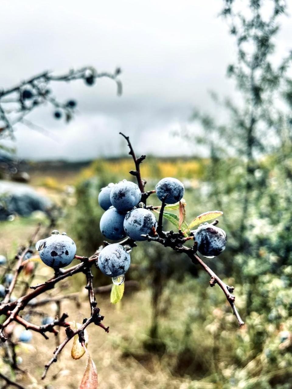 Alojamiento Rural Los Hacheros Tragacete Zewnętrze zdjęcie
