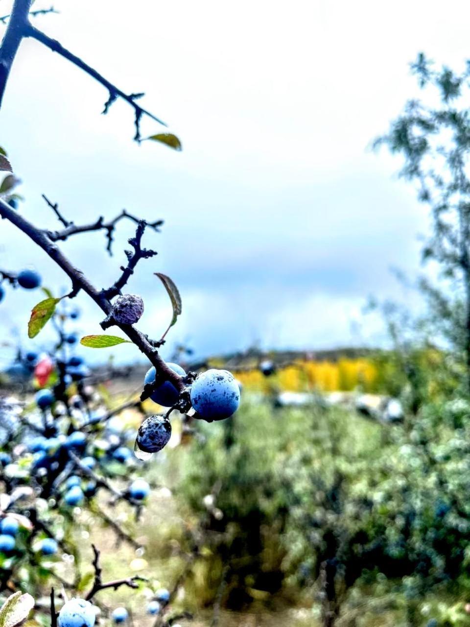 Alojamiento Rural Los Hacheros Tragacete Zewnętrze zdjęcie