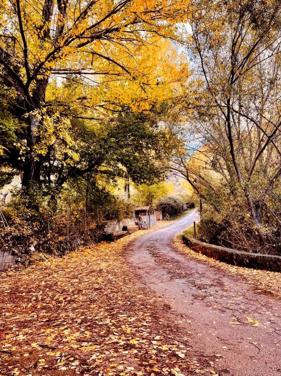 Alojamiento Rural Los Hacheros Tragacete Zewnętrze zdjęcie