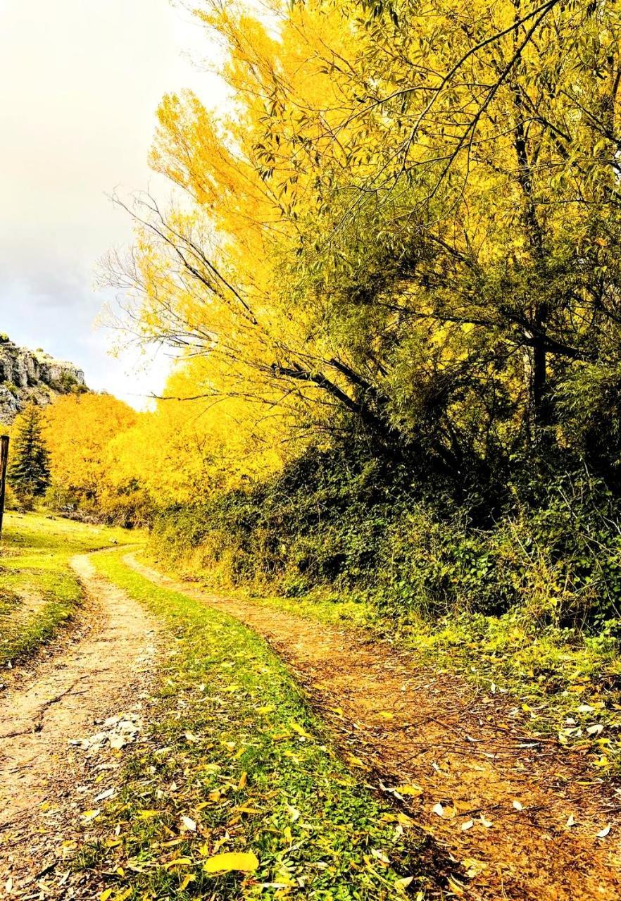 Alojamiento Rural Los Hacheros Tragacete Zewnętrze zdjęcie