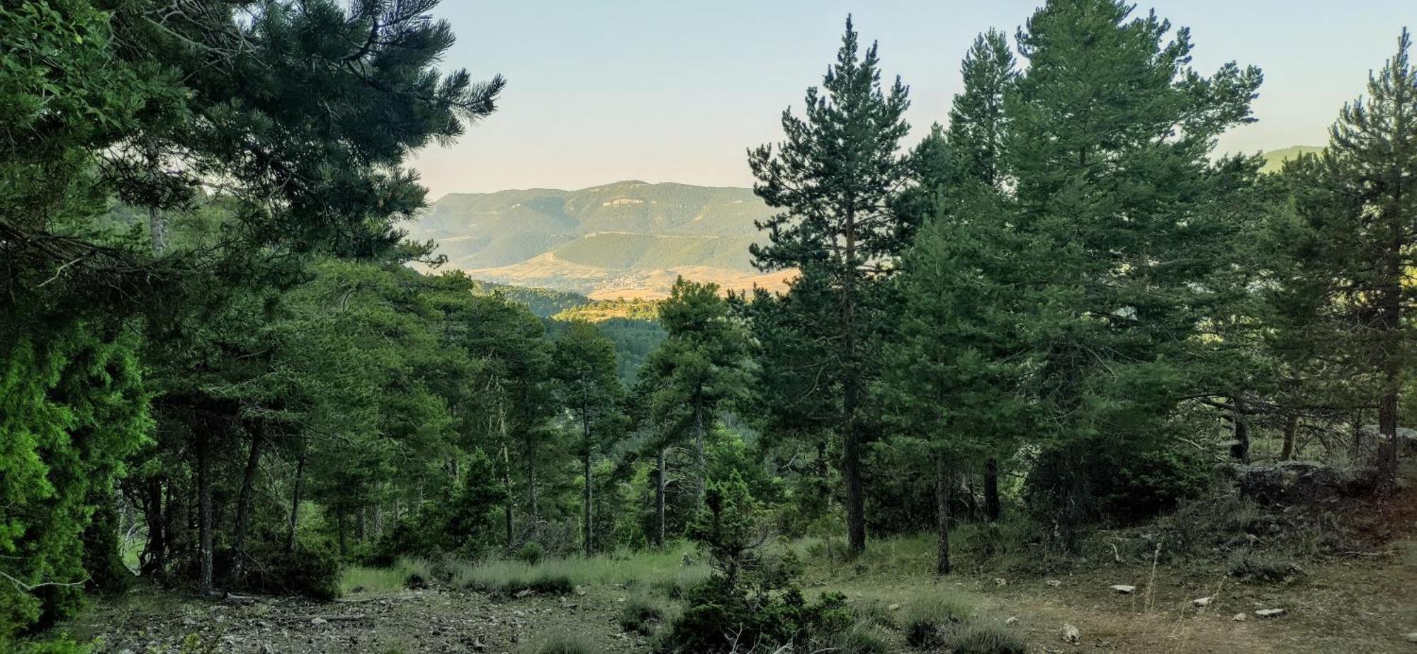 Alojamiento Rural Los Hacheros Tragacete Pokój zdjęcie